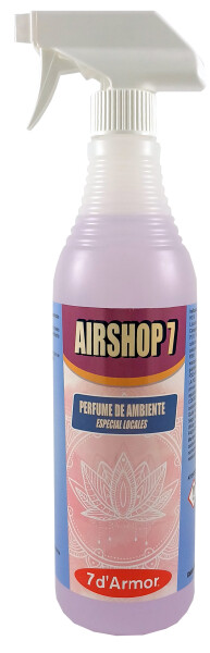 AIRSHOP 7